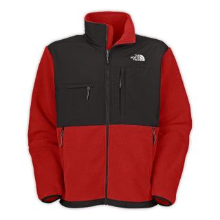 Veste Polaire The North Face Homme